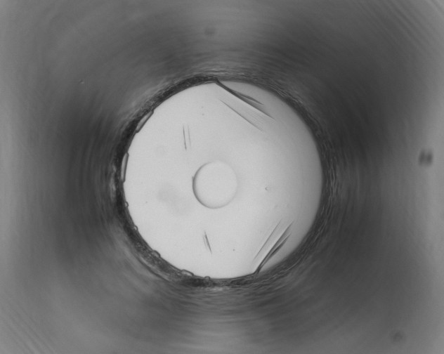 X0000113010692200910081223
