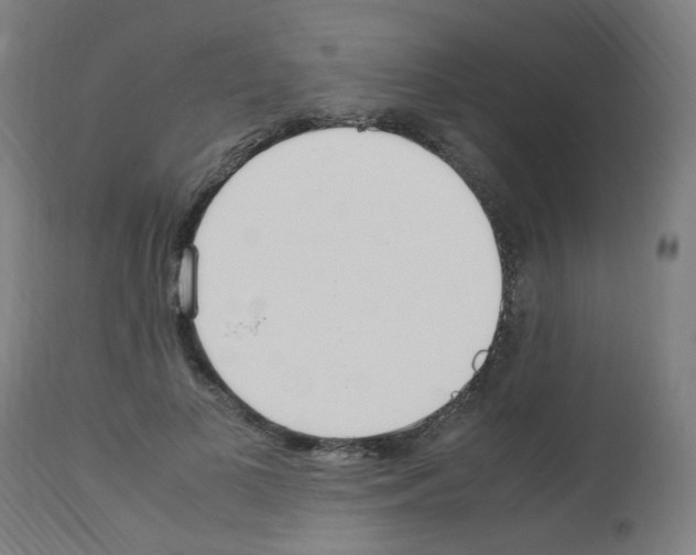 X0000113010693200910081223