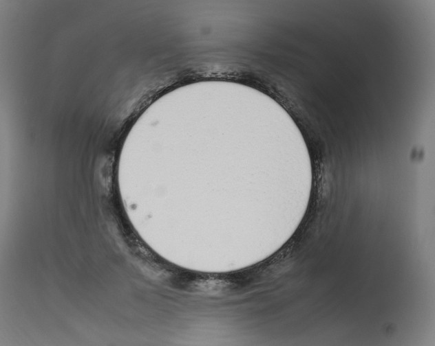X0000113010695200910081223