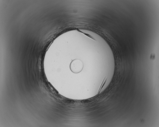 X0000113010696200910081223