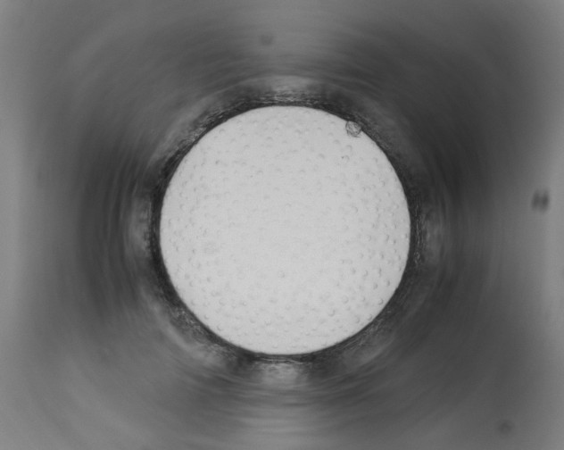 X0000113010698200910081223