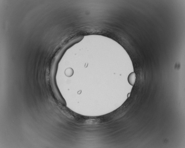 X0000113010700200910081223