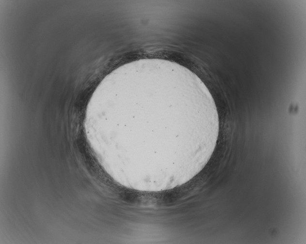 X0000113010703200910081223