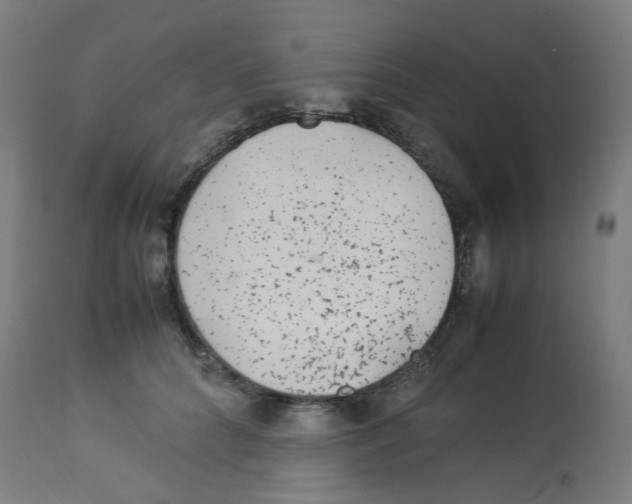 X0000113010704200910081223