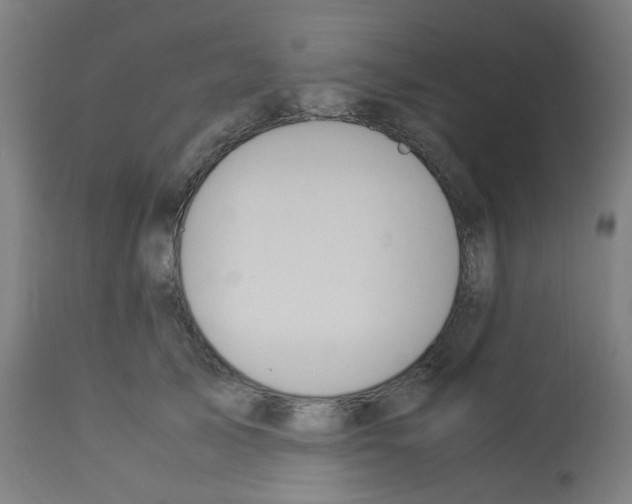 X0000113010705200910081223