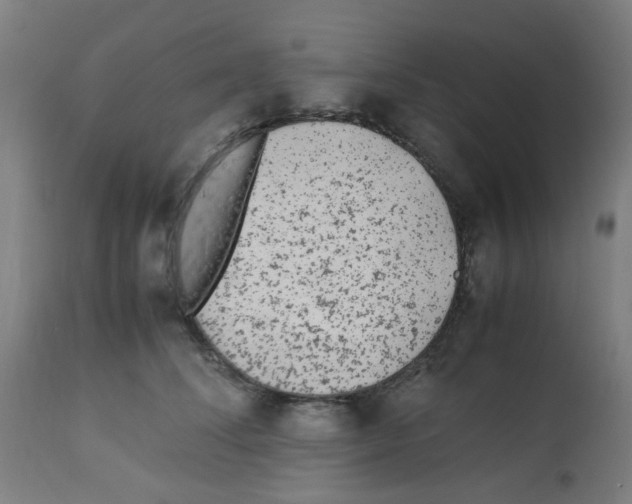 X0000113010708200910081223