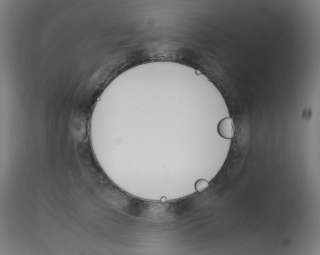 X0000113010709200910081223