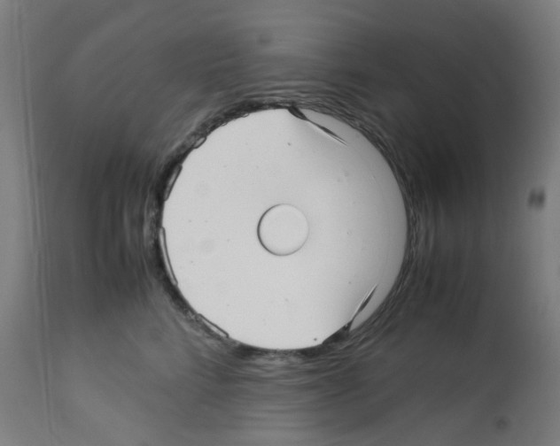 X0000113010712200910081222