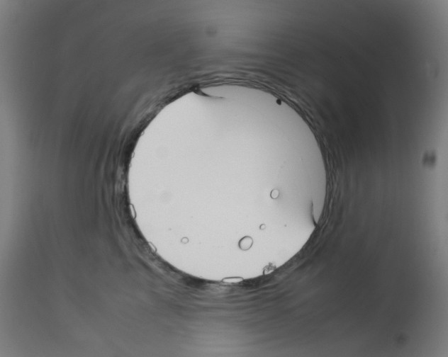 X0000113010713200910081222