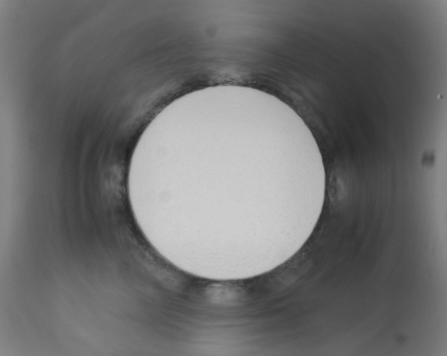 X0000113010714200910081222