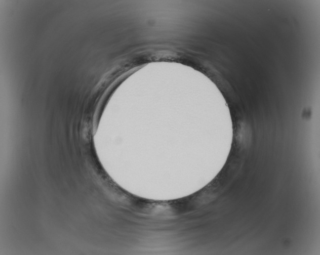 X0000113010715200910081222