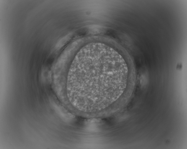 X0000113010716200910081222
