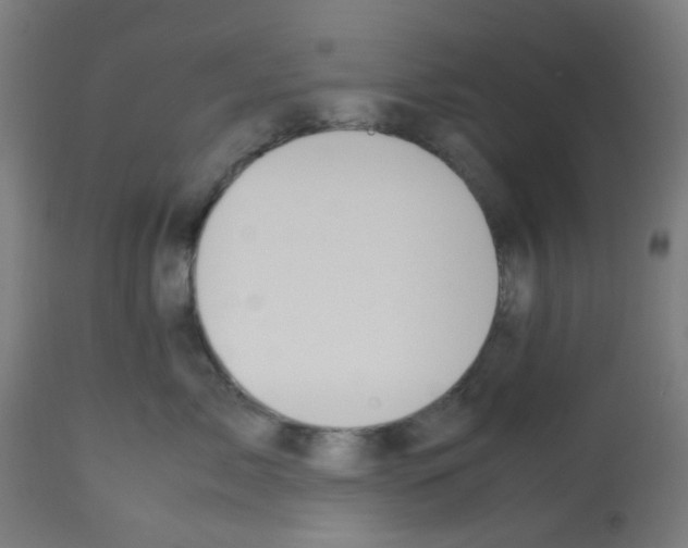 X0000113010717200910081222