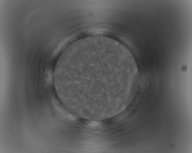 X0000113010718200910081222