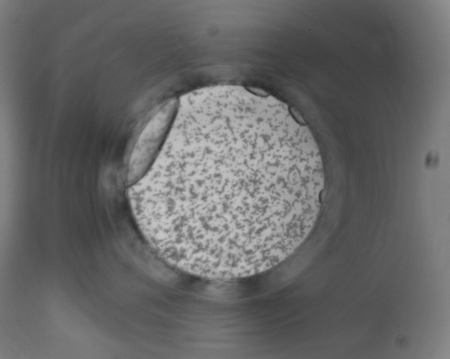 X0000113010720200910081222