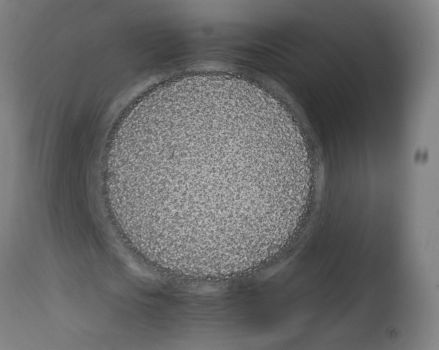 X0000113010721200910081222