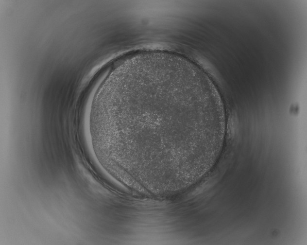 X0000113010722200910081222