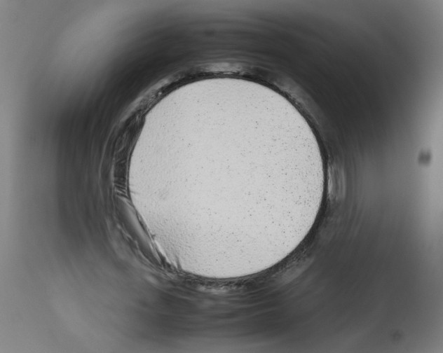X0000113010723200910081222