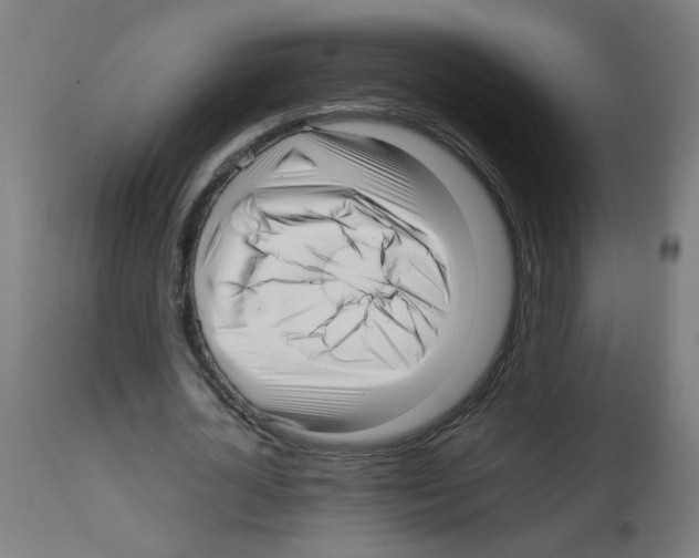 X0000113010724200910081222