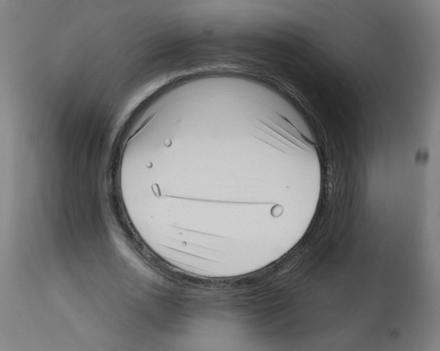X0000113010726200910081222