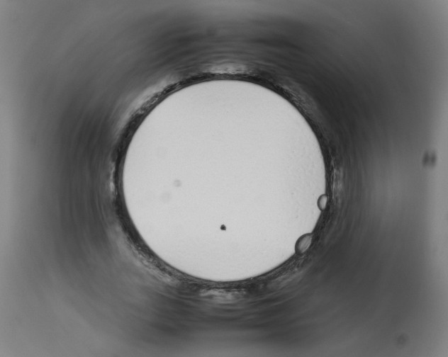 X0000113010727200910081222