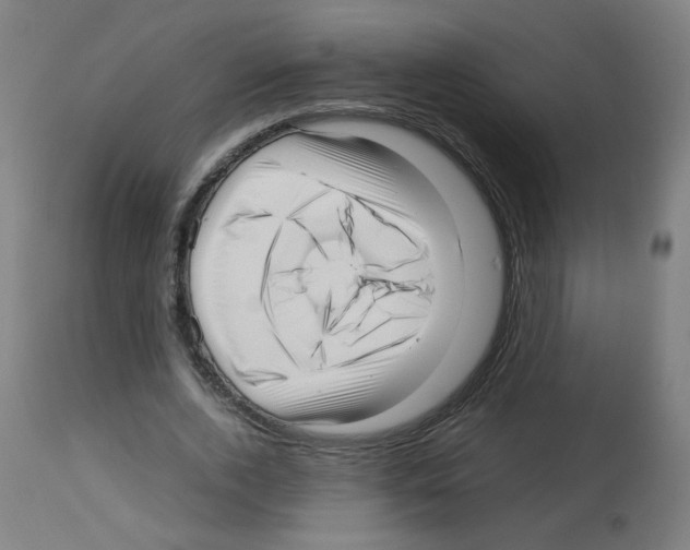X0000113010728200910081222