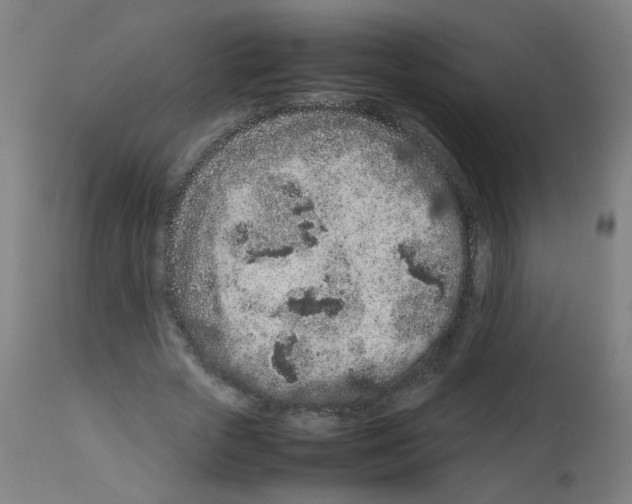 X0000113010729200910081222