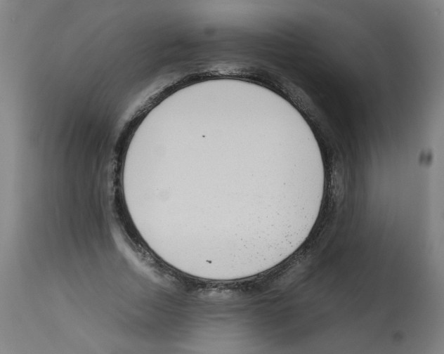 X0000113010730200910081222