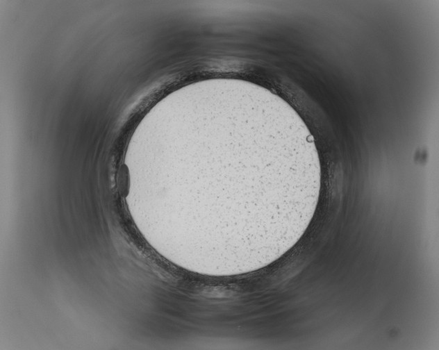 X0000113010731200910081222