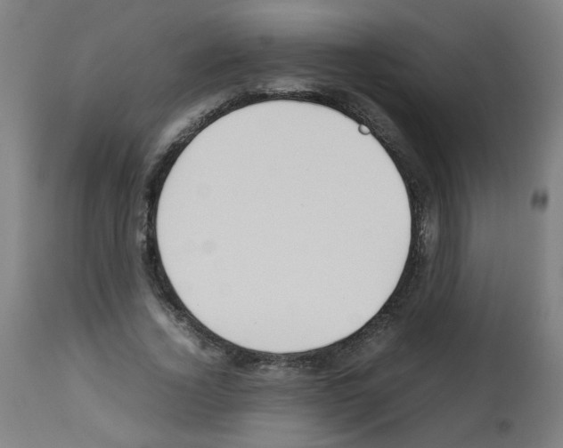 X0000113010732200910081222