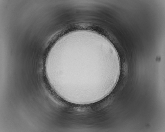X0000113010733200910081222