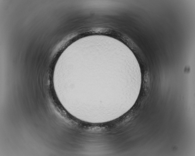 X0000113010734200910081222