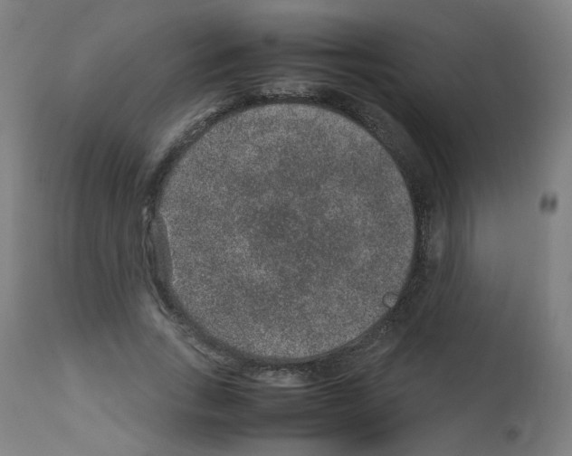X0000113010735200910081222