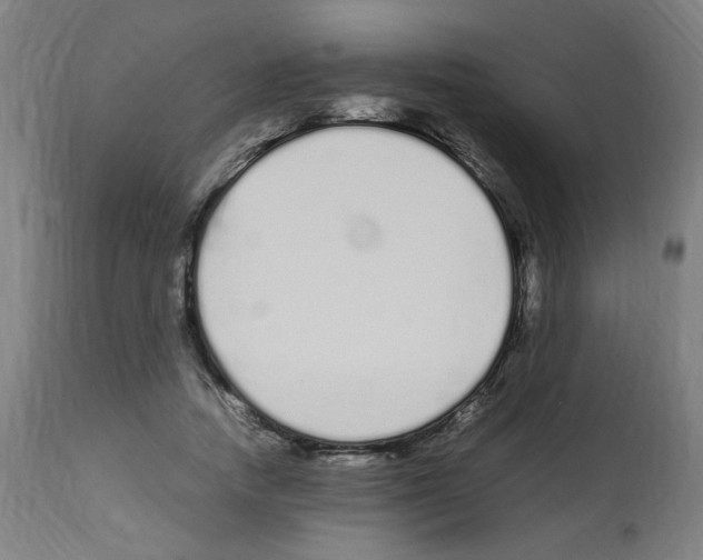 X0000113010738200910081222