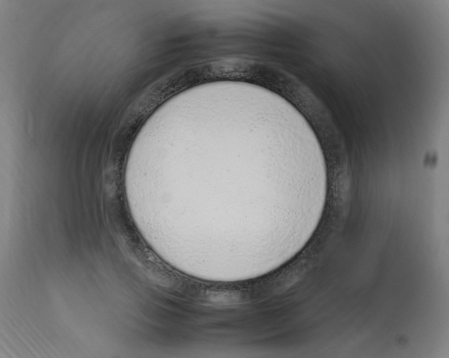 X0000113010741200910081222