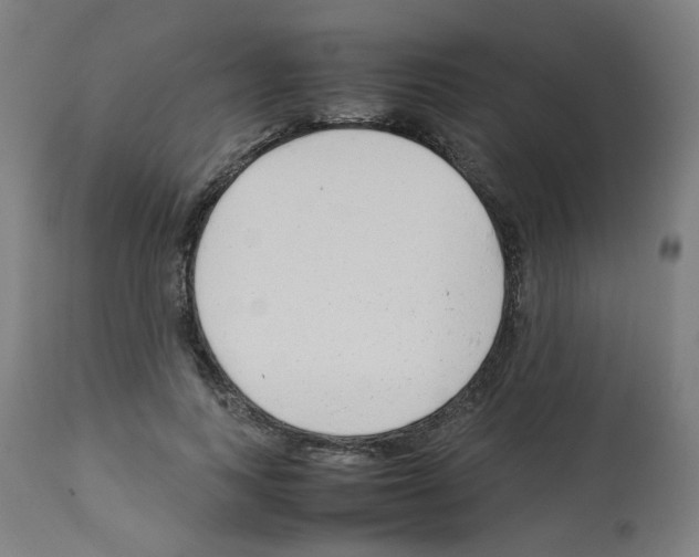 X0000113010743200910081222