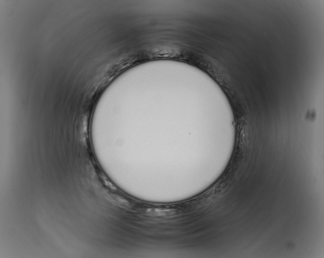 X0000113010745200910081222