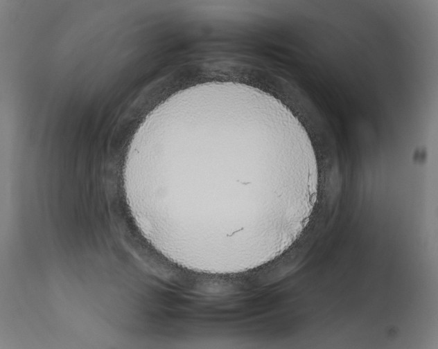 X0000113010749200910081222