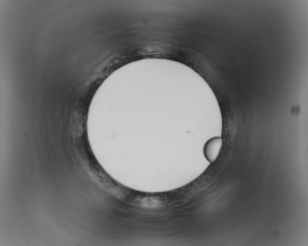 X0000113010751200910081222