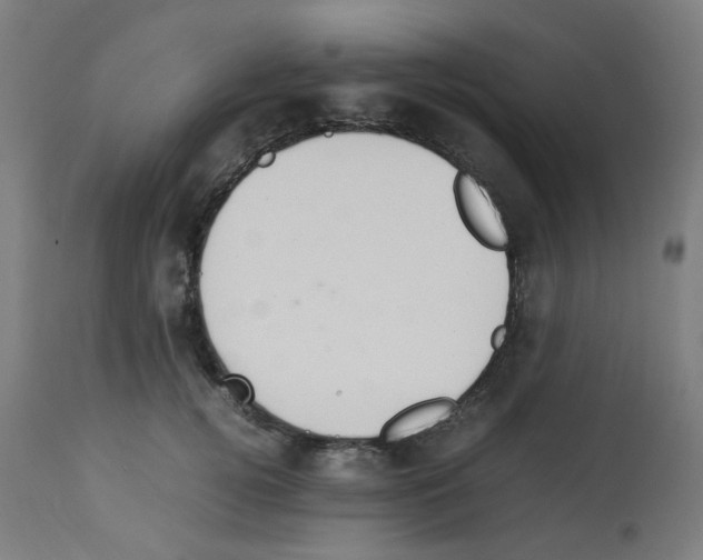 X0000113010752200910081222