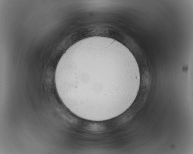 X0000113010753200910081222