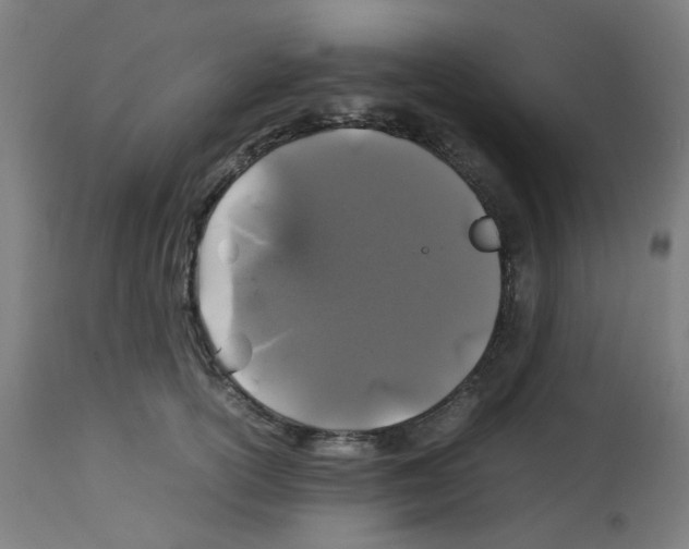X0000113010754200910081222