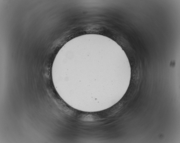 X0000113010755200910081222