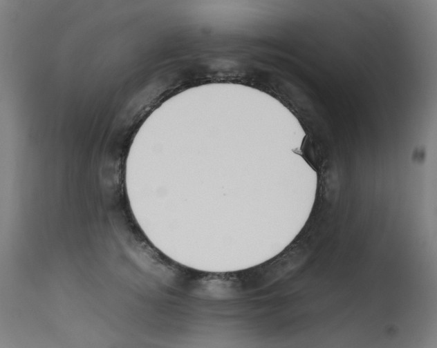 X0000113010756200910081222