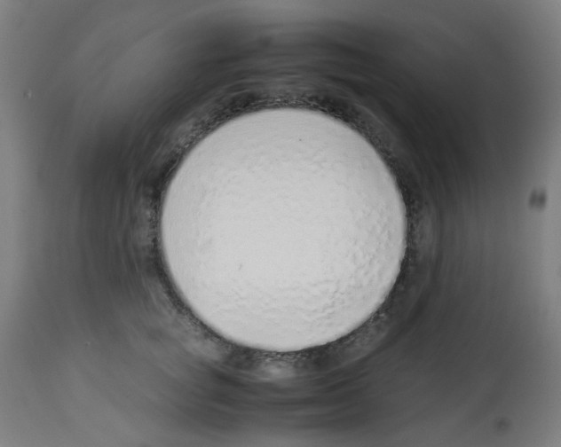 X0000113010757200910081222