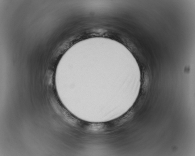 X0000113010758200910081222