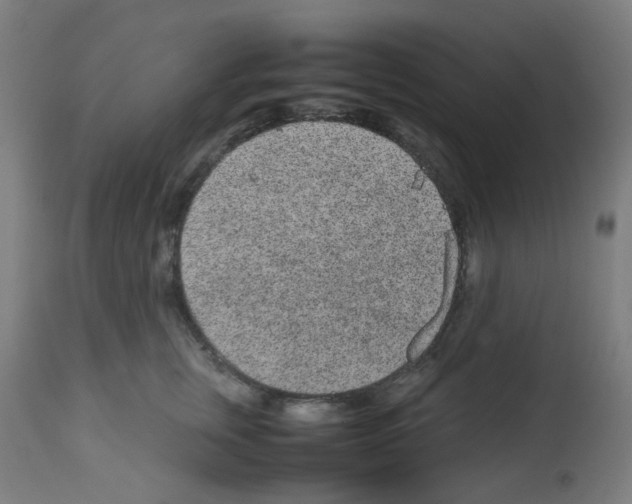 X0000113010759200910081222