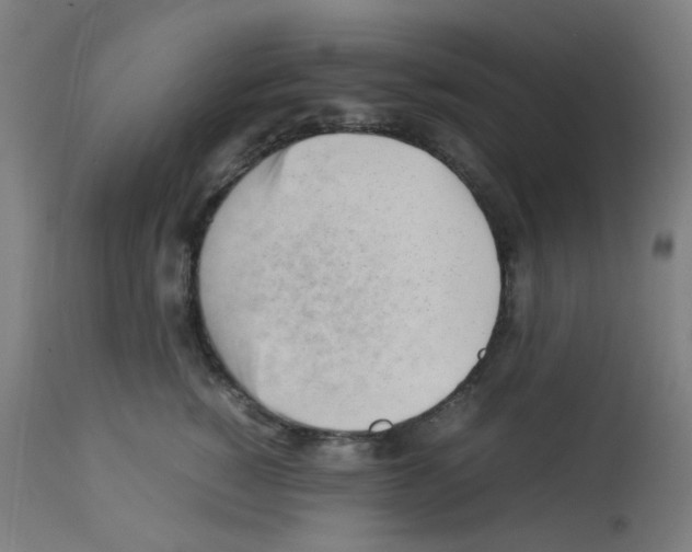 X0000113010760200910081222
