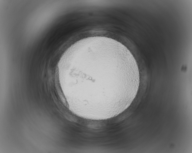 X0000113010761200910081222
