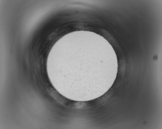 X0000113010762200910081222